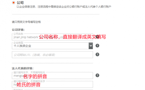 Payoneer（派安盈）注册教程